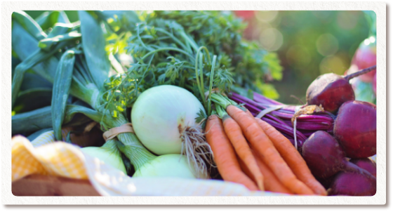 玉ねぎやにんじんなど新鮮な野菜